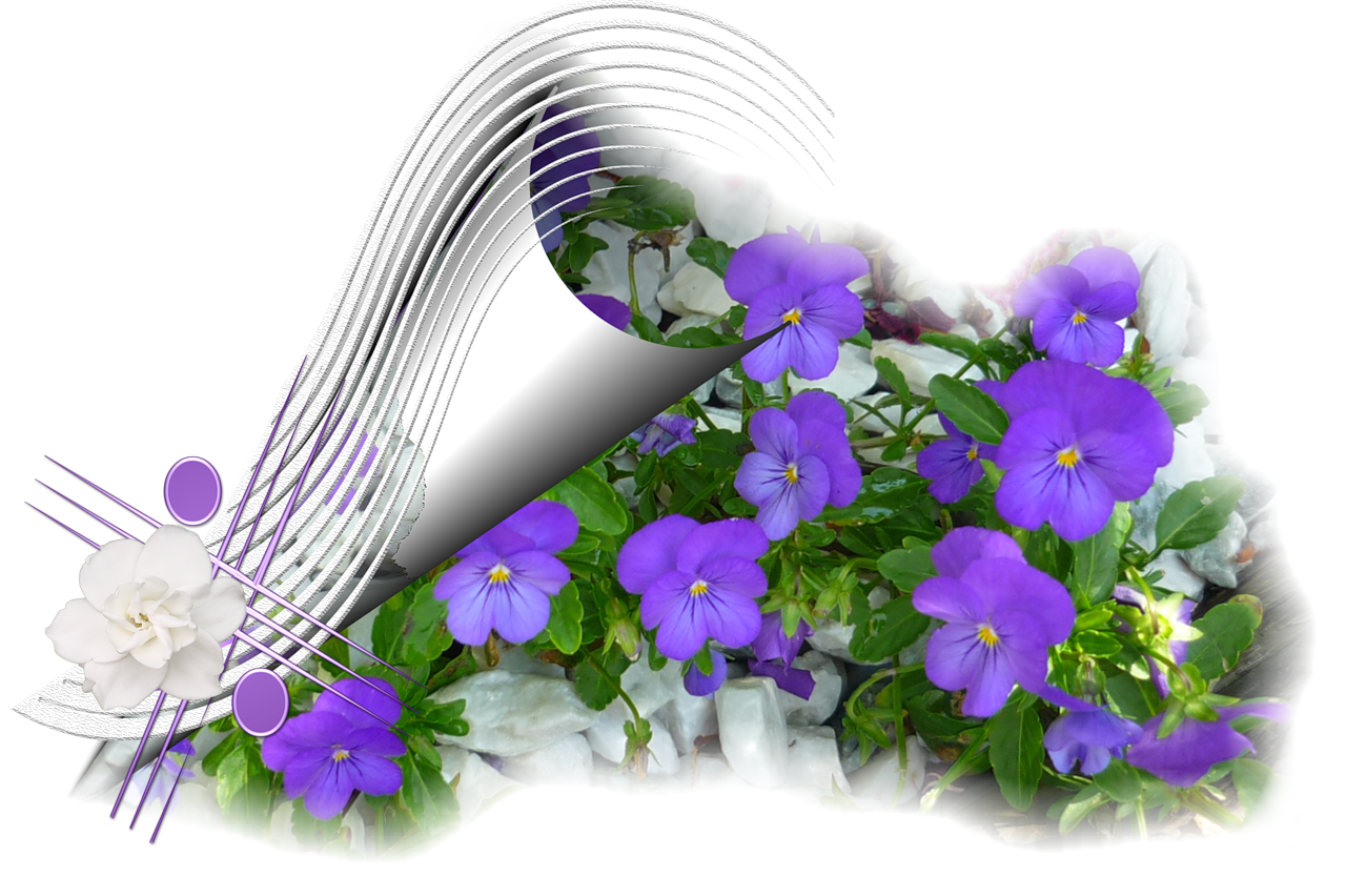 Хорошего настроения!